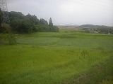 b0028337_17572038.jpg