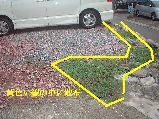 賃貸物件ハウスクリーニング_f0031037_2122147.jpg
