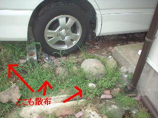 賃貸物件ハウスクリーニング_f0031037_21222646.jpg