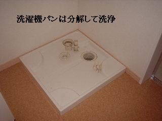 賃貸物件ハウスクリーニング_f0031037_21272176.jpg