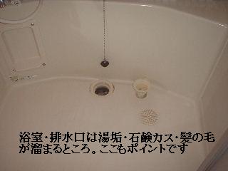 賃貸物件ハウスクリーニング_f0031037_21273840.jpg