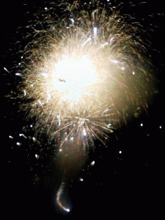 a0050838_012598.gif