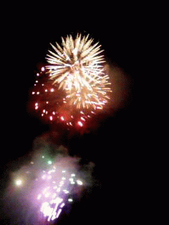 a0050838_025050.gif