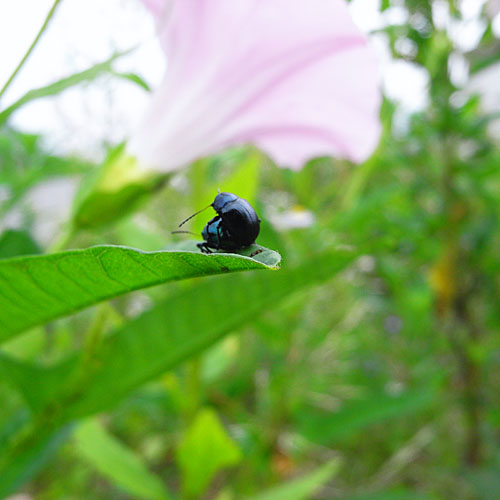 c0067040_23165265.jpg