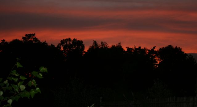 e0082045_22324054.jpg