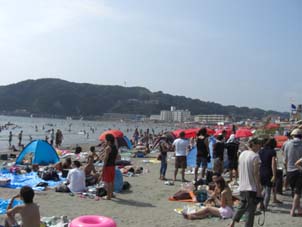 夏の日の２００８_b0139347_2132379.jpg