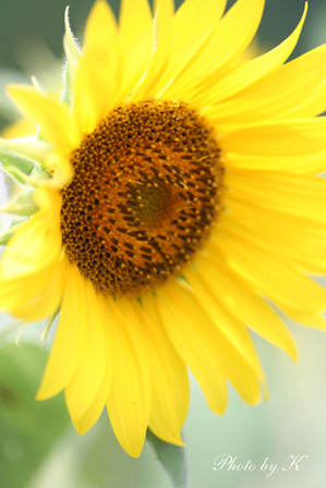 c0127748_22525115.jpg