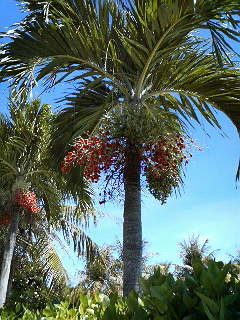 e0065350_16472728.jpg