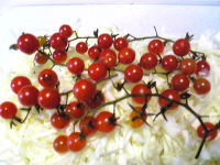 f0065954_1891551.jpg
