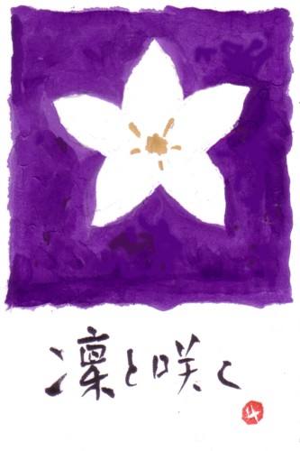 白い桔梗_e0074955_544282.jpg