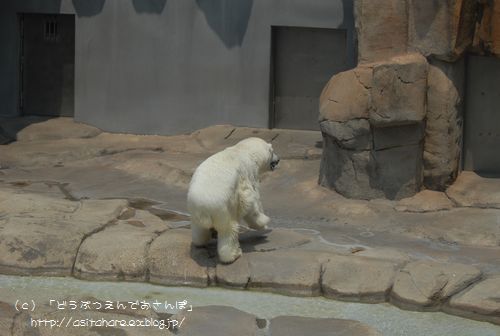 b0024758_038521.jpg