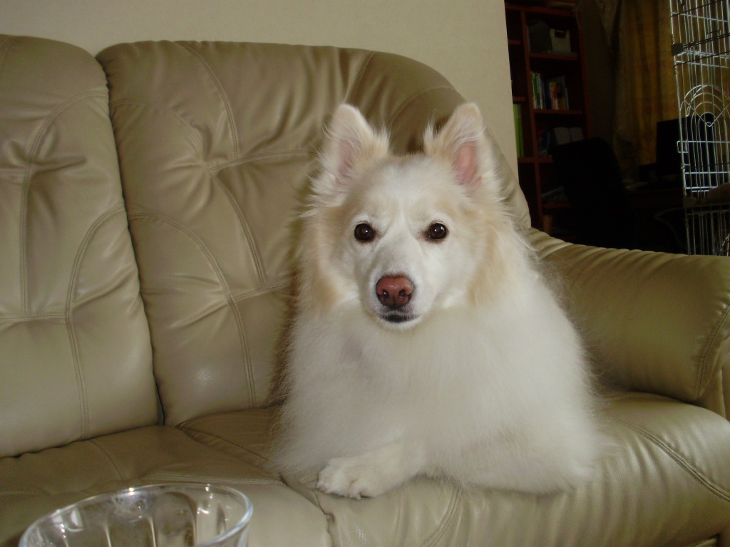 f0066862_043454.jpg