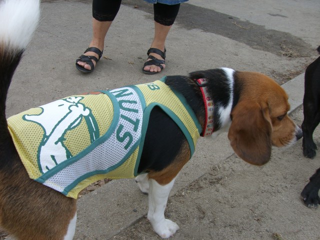 c0081363_03144.jpg