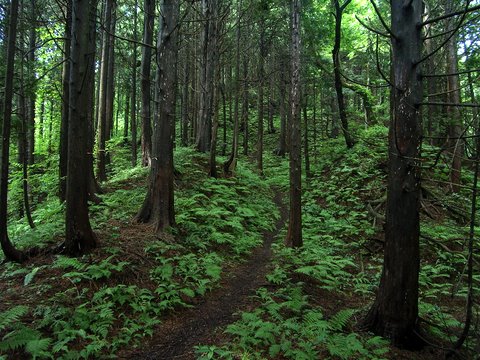 b0130166_17472798.jpg