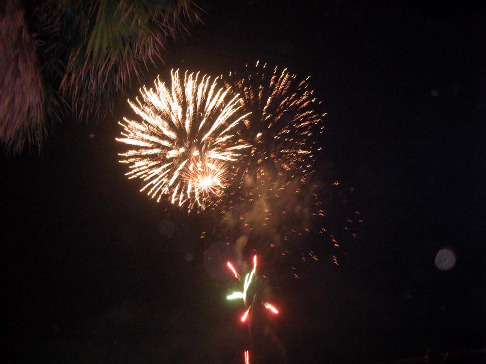 a0084771_13331810.jpg