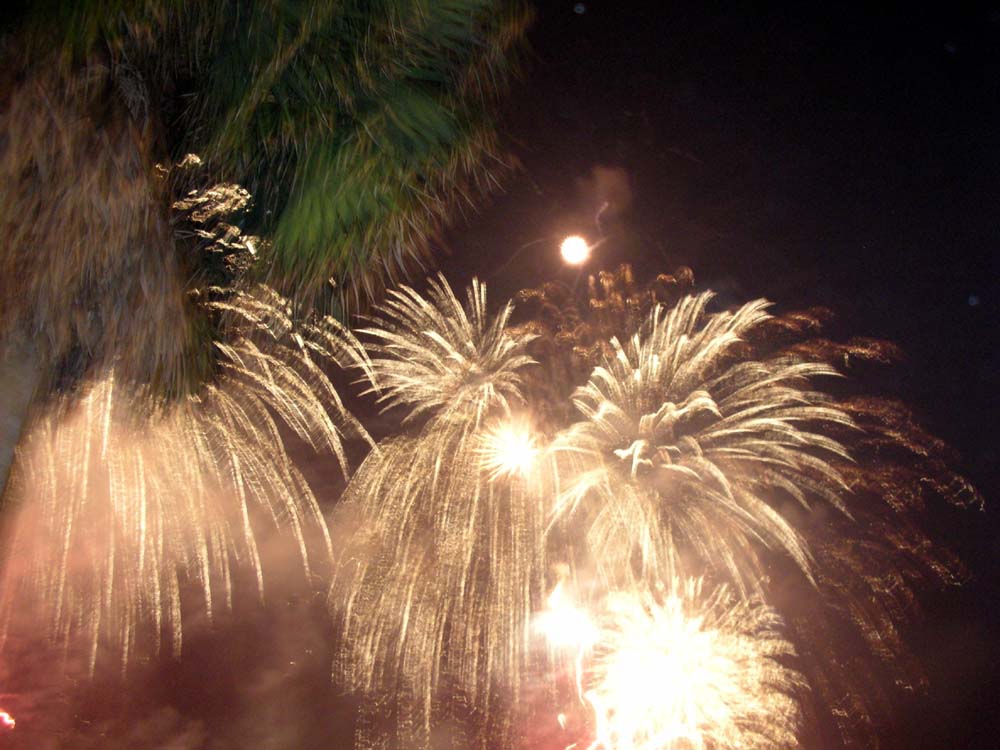 a0084771_13364863.jpg
