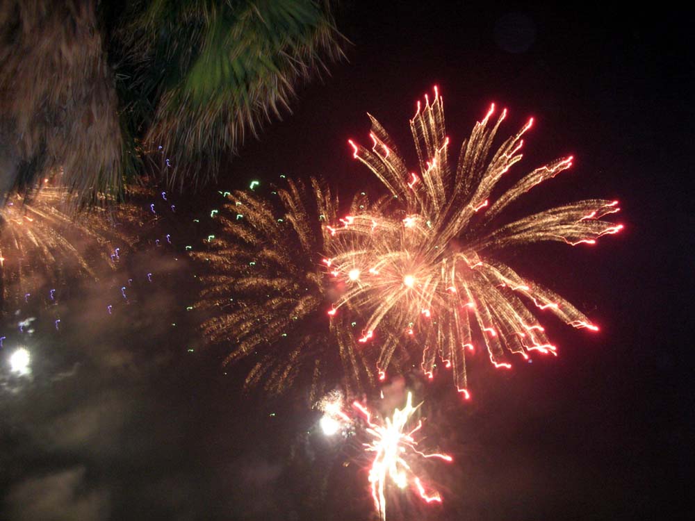 a0084771_1339449.jpg