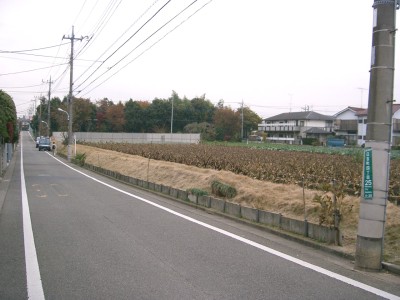 c0112172_15298.jpg