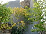 e0143298_23493089.jpg