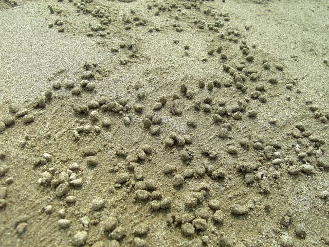 c0037400_2025444.jpg