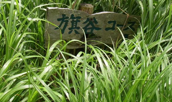 08.08.05(火) カメラ目線_a0062810_18335469.jpg