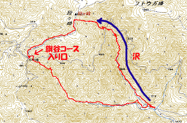 08.08.05(火) カメラ目線_a0062810_193388.jpg