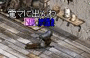 f0072010_13215555.gif