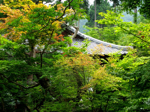 圓光寺_e0048413_21115840.jpg
