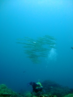 a0043520_23143795.jpg