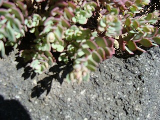 f0170524_13541492.jpg