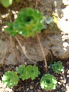 f0170524_14151093.jpg