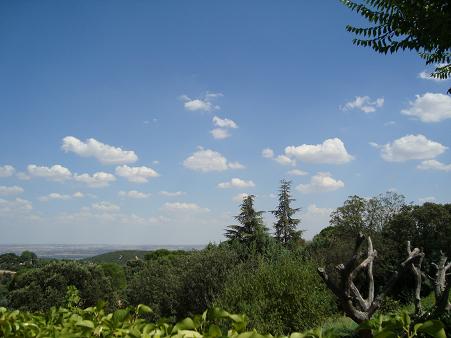 e0120938_2512213.jpg