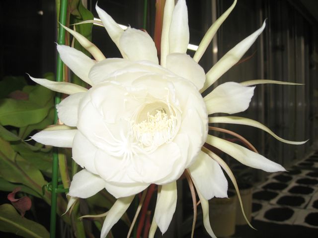 d0081650_2313964.jpg