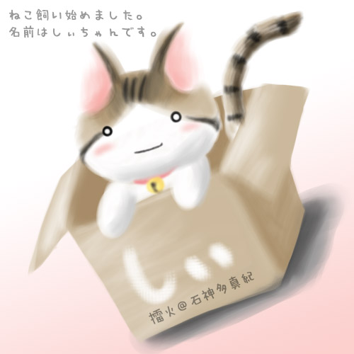 子猫飼いました 擂火日記