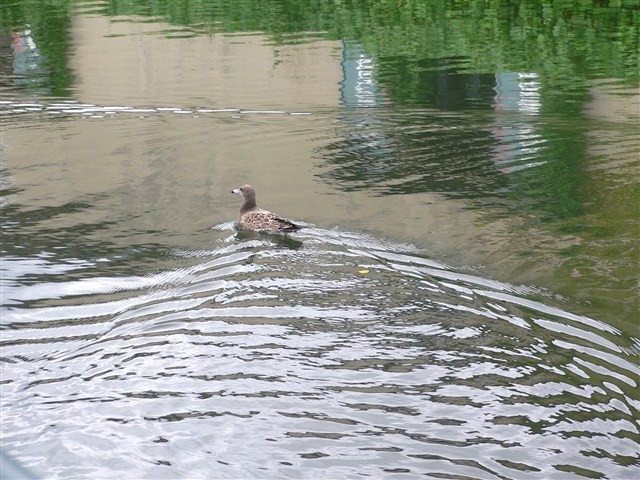 小樽におったで、海道北男。_d0028665_23174917.jpg