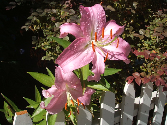 c0115366_14391637.jpg