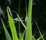 d0020180_003250.jpg