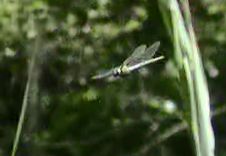 d0020180_00381.jpg