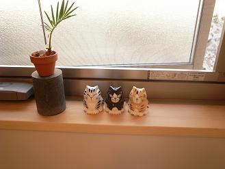 hpで見学会_d0087595_17131055.jpg