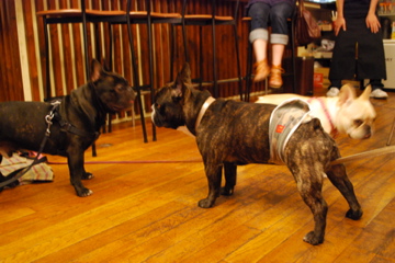 f0136098_1614178.jpg