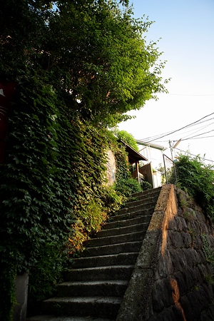 b0155903_20304345.jpg