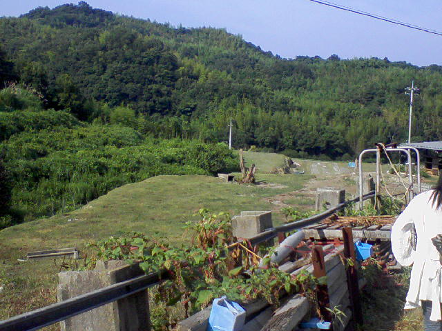 e0124705_8463198.jpg