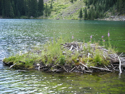 [\'08.08.03] Maroon Bells_f0111607_6322613.jpg