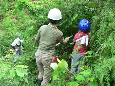 追伸！７月１９日下草刈り報告_e0032609_20124728.jpg