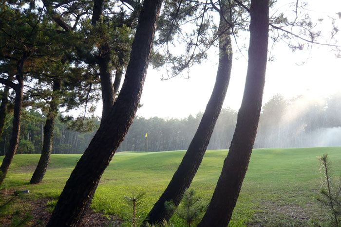 ●阿波岐原森林公園_f0174914_21374713.jpg