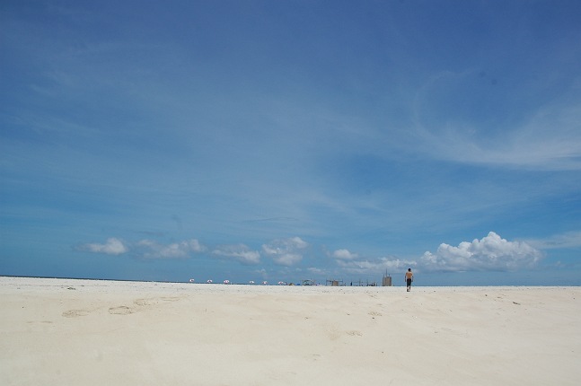 b0152416_23572288.jpg