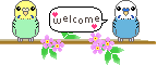 f0126418_161466.gif
