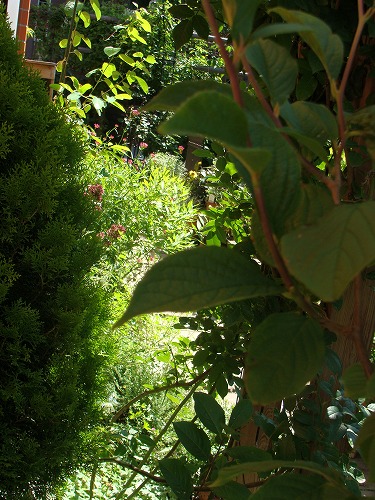 f0170524_14543263.jpg