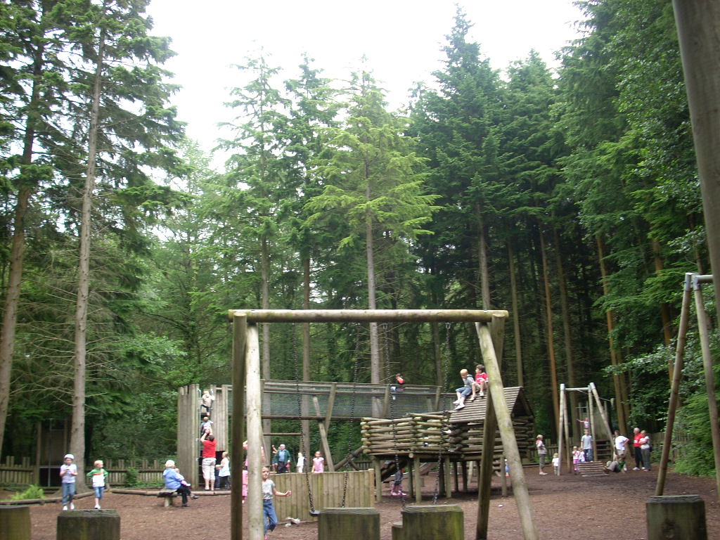 d0145528_542912.jpg
