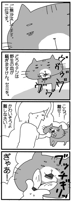 c0019433_9301596.gif